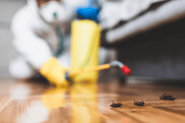 Private Exterminating, Queens, Brooklyn & Long Island